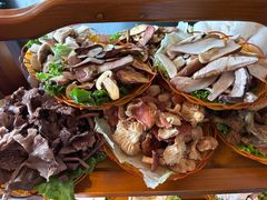 -易门野生菌府·菌海森林(月牙潭公园店)