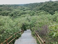 -大青沟风景区