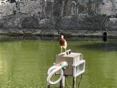-石炮台公园