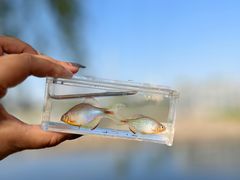 -蓝天路(地铁站)