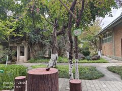 -映月潭温泉