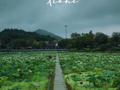 -红山村
