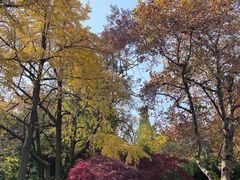 -虞山风景区