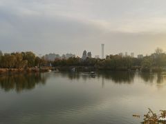 -朝阳公园游乐园