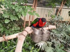 -南宫五洲植物乐园