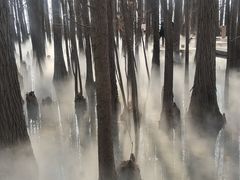 -东湖落雁景区