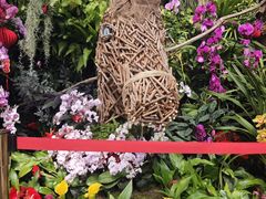 -北京植物园-展览温室