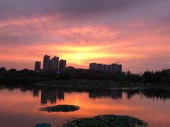 -前关湿地公园