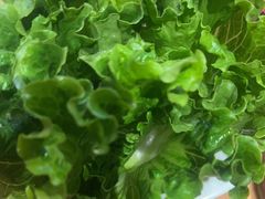-手选潮汕鲜牛肉火锅(二七广场店)