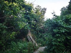 -燕窝岭