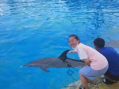 -三亚海昌梦幻海洋不夜城