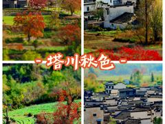 -塔川景区