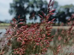 -中国天府农业博览园