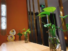 -炖物24章·顺时轻养茶(杭州大厦店)