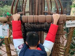 -杭州开元森泊度假乐园