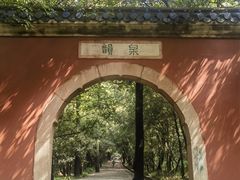 -灵谷景区