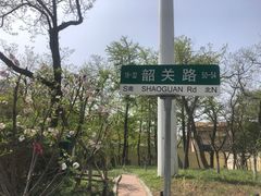 -八大关景区