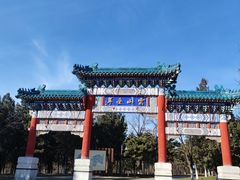 -云岗森林公园