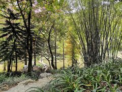 -云溪植物园