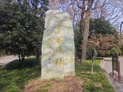 -灵谷景区