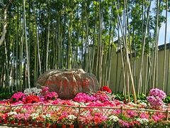 -上海醉白池公园