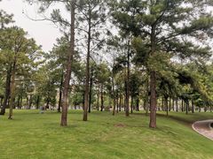 -美兰湖景区