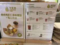 -油梨树 AVOCADO TREE(亮马桥店)