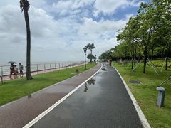 -野狸岛