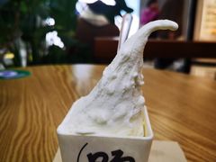 -野人先生Gelato(上海长宁龙之梦店)