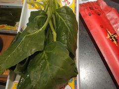 -芦月轩羊蝎子(劲松店)