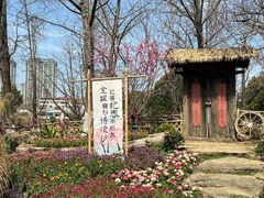 -圩墩遗址公园