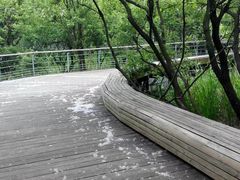 -西湖风景区-江洋畈生态公园