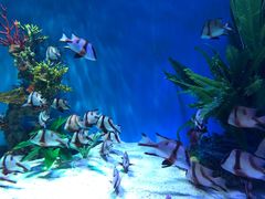 -上海海昌海洋公园-停车场