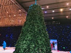 -宁波冰雪大世界(北仑区)