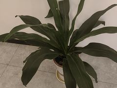 -觉藏茶社(博地影秀城店)