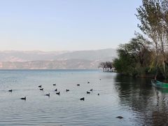 -西昌邛海湿地