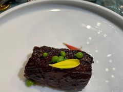 -诺莱仕游艇会