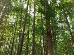 -渡海小渔村.老辈日照菜