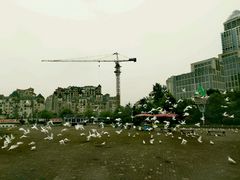 -南昌之星摩天轮