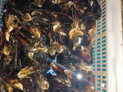 -星伦多自助料理(花山金鹰店)