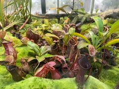 -国家植物园南园