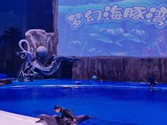 -华夏文旅海洋公园