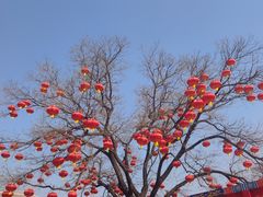 -八大处公园