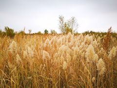 -亿利库布其七星湖沙漠生态旅游区