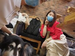 -more than meow吴止猫主题餐厅(承德 中船汇店)