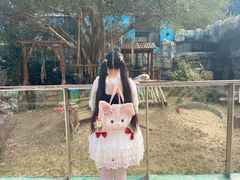 -泉州海丝野生动物世界