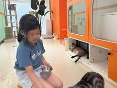 -三花喵·撸猫购宠·宠物生活馆(虹桥南丰城店)