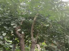 -金稼园·金平湖农家菜