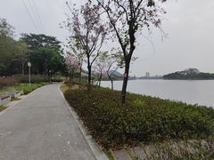 -顺峰山公园