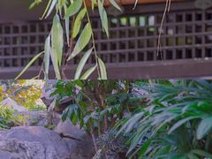 -静安公园(静安寺街道)